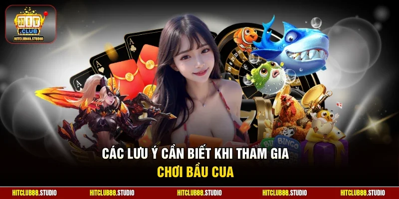 Các lưu ý cần biết khi tham gia chơi bầu cua