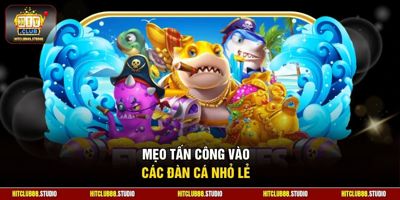 Mẹo tấn công vào các đàn cá nhỏ lẻ