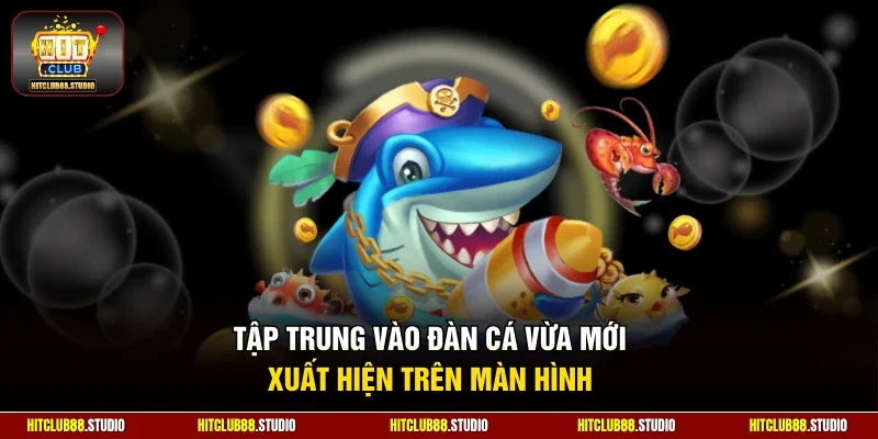 Tập trung vào đàn cá vừa mới xuất hiện trên màn hình